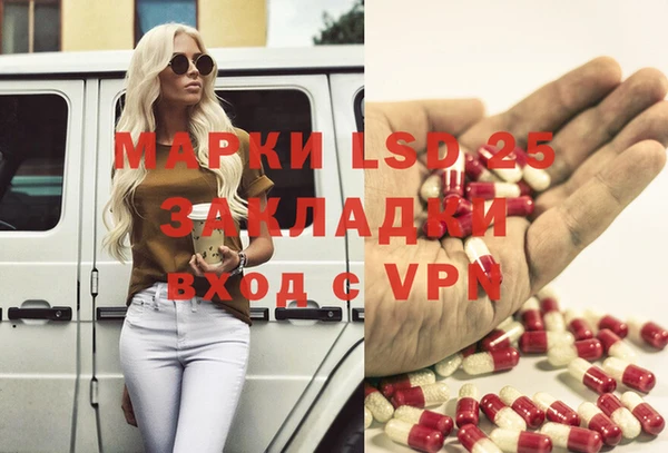 ГАЛЛЮЦИНОГЕННЫЕ ГРИБЫ Баксан
