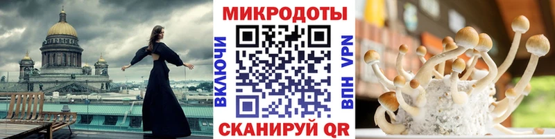 продажа наркотиков  Кстово  Галлюциногенные грибы мицелий 
